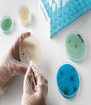 Microbiological products